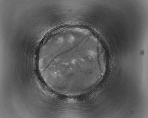 X0000114650592200912011114