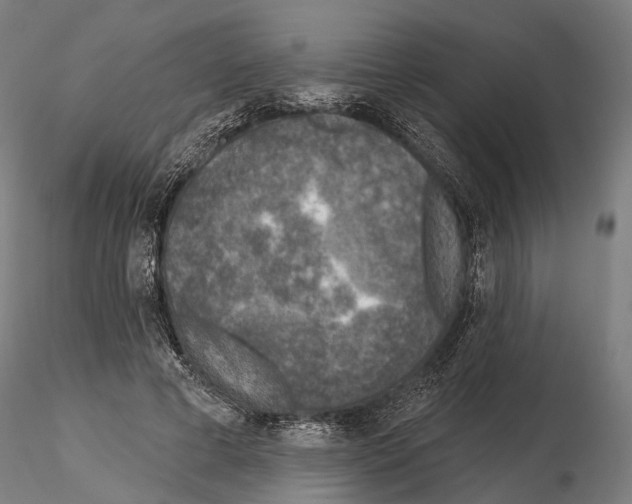 X0000114650593200912011114