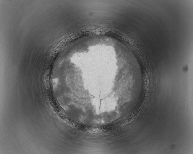 X0000114650594200912011114