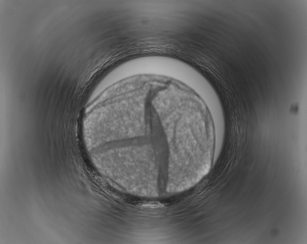 X0000114650595200912011114