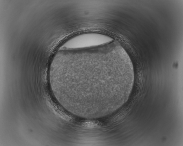 X0000114650596200912011114