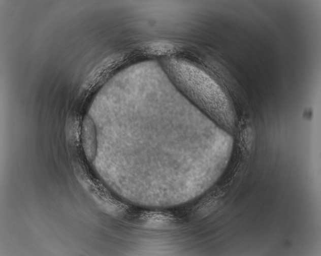 X0000114650597200912011114