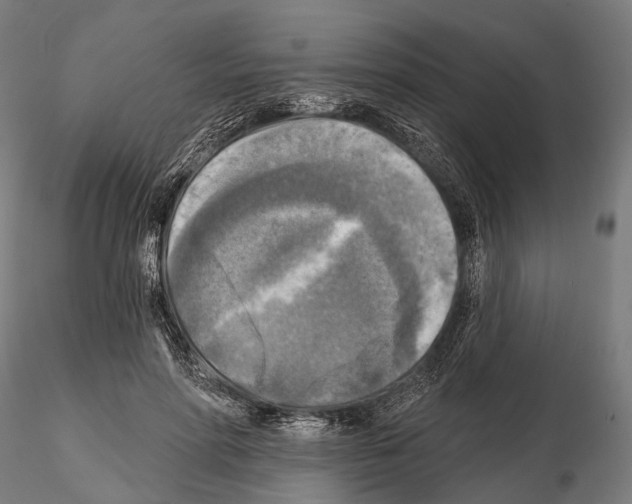 X0000114650598200912011114