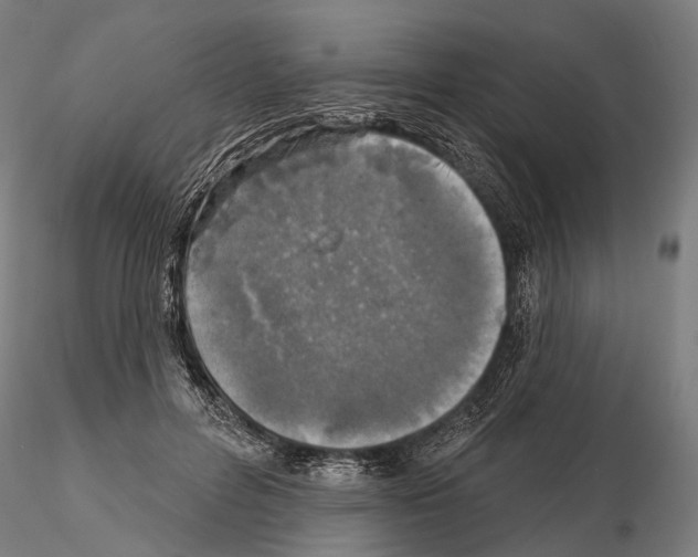 X0000114650600200912011114