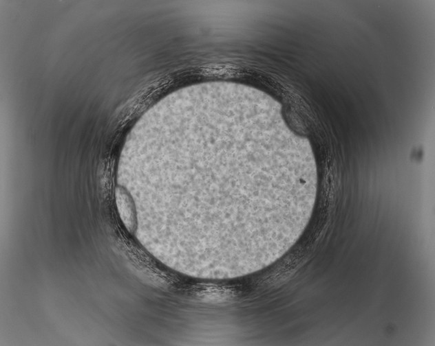 X0000114650601200912011114