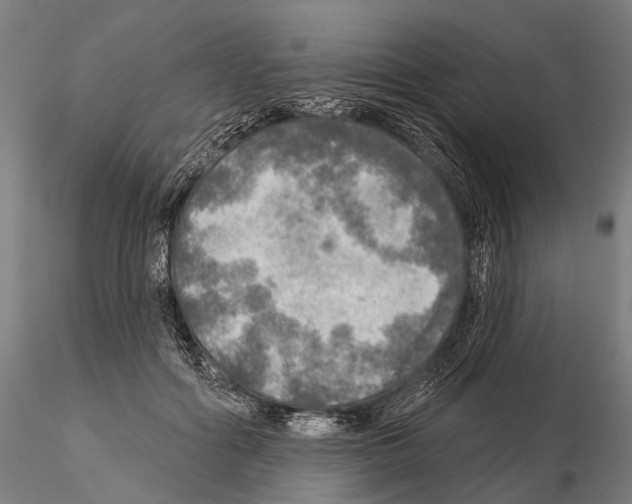 X0000114650602200912011114