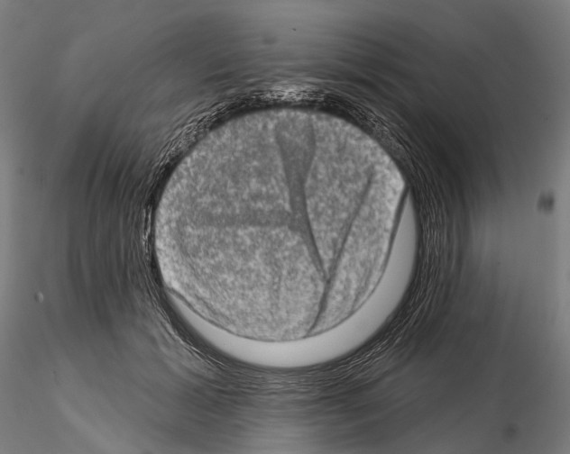 X0000114650605200912011114