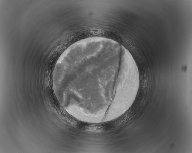 X0000114650606200912011114