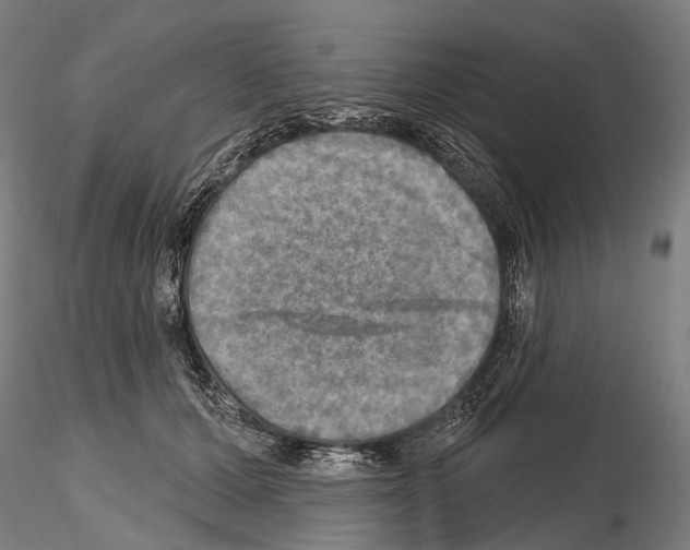 X0000114650607200912011114