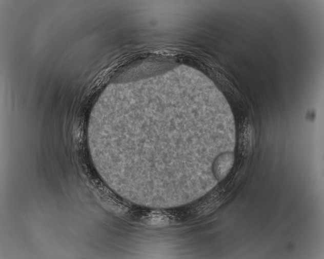 X0000114650608200912011114