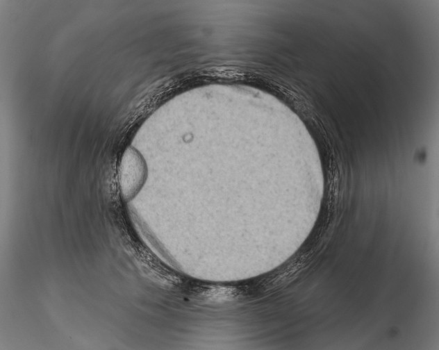 X0000114650609200912011114