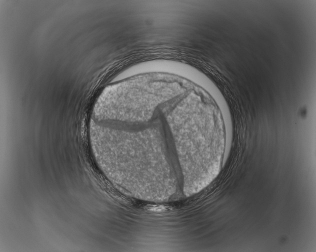 X0000114650611200912011114