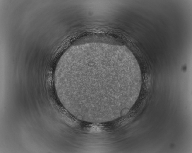 X0000114650612200912011114