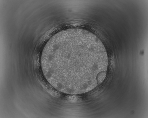 X0000114650615200912011114