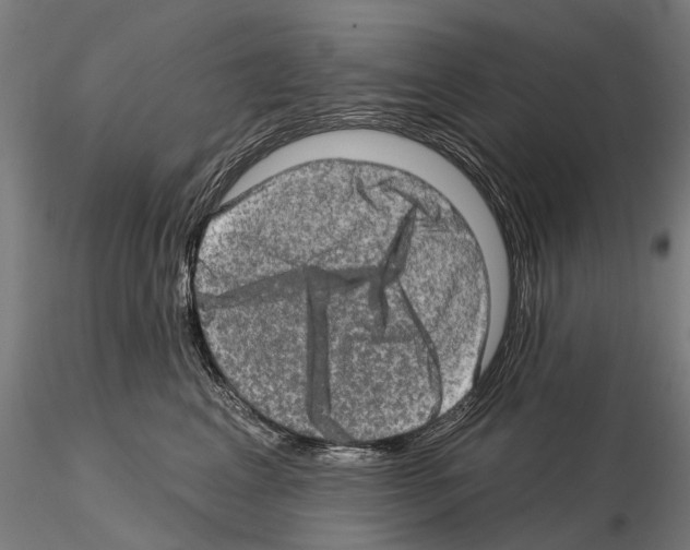 X0000114650617200912011114