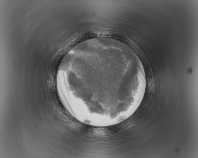 X0000114650618200912011114