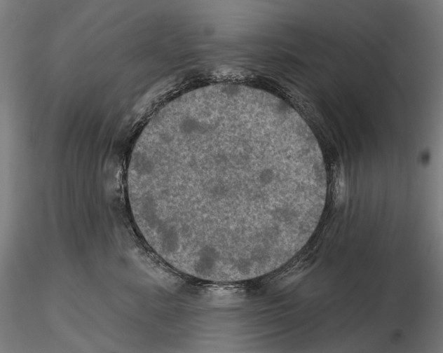 X0000114650619200912011114