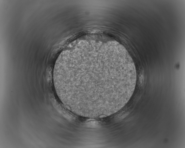 X0000114650620200912011113