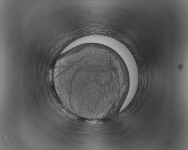 X0000114650621200912011113