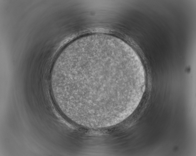 X0000114650625200912011113