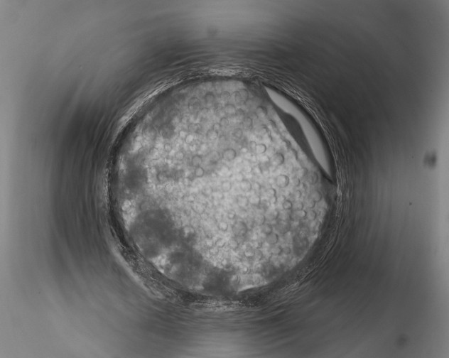 X0000114650626200912011113