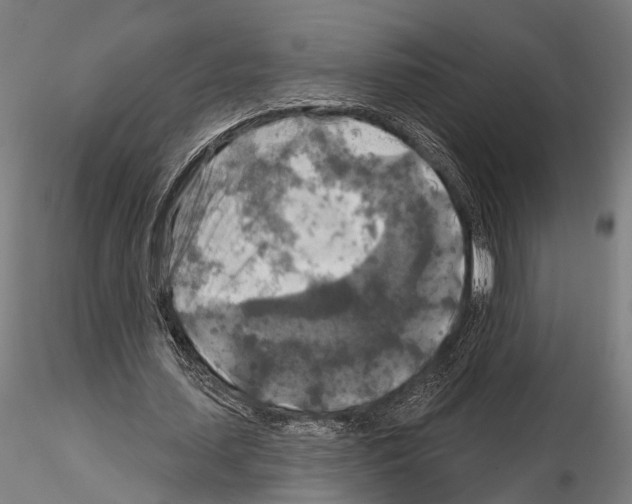 X0000114650627200912011113