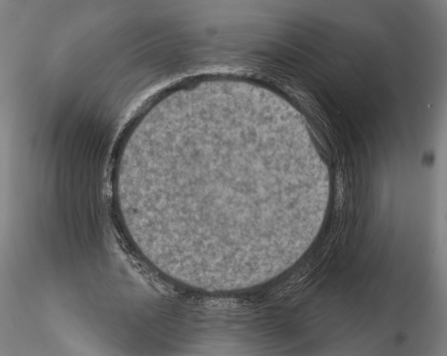 X0000114650628200912011113