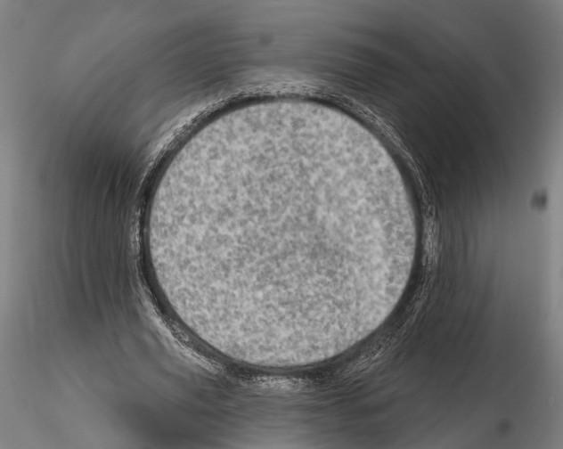 X0000114650629200912011113