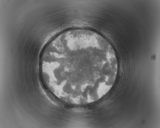 X0000114650630200912011113