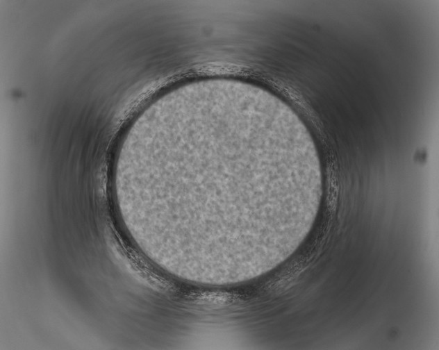 X0000114650631200912011113