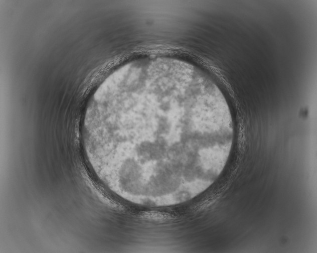 X0000114650633200912011113