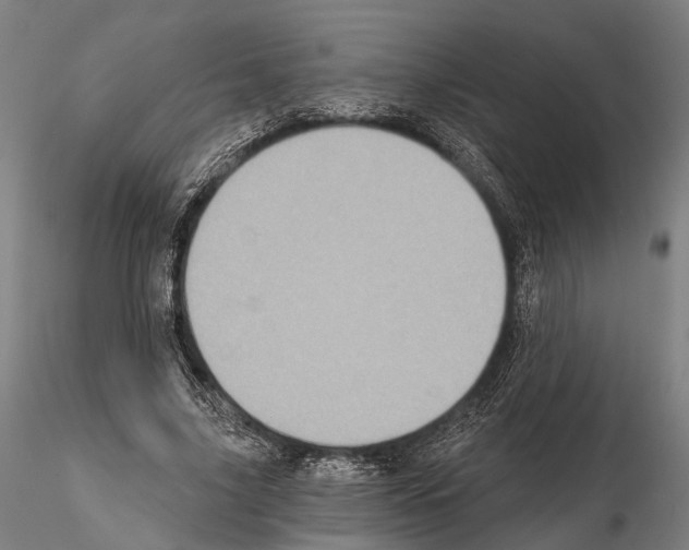 X0000114650635200912011113