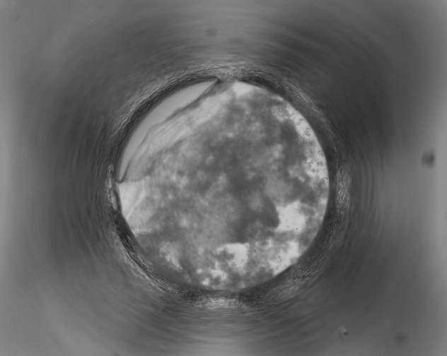 X0000114650637200912011113