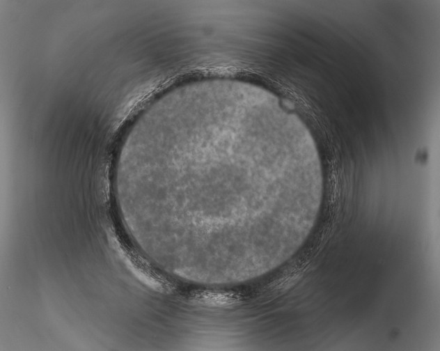 X0000114650638200912011113