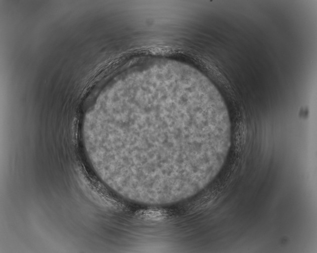 X0000114650639200912011113