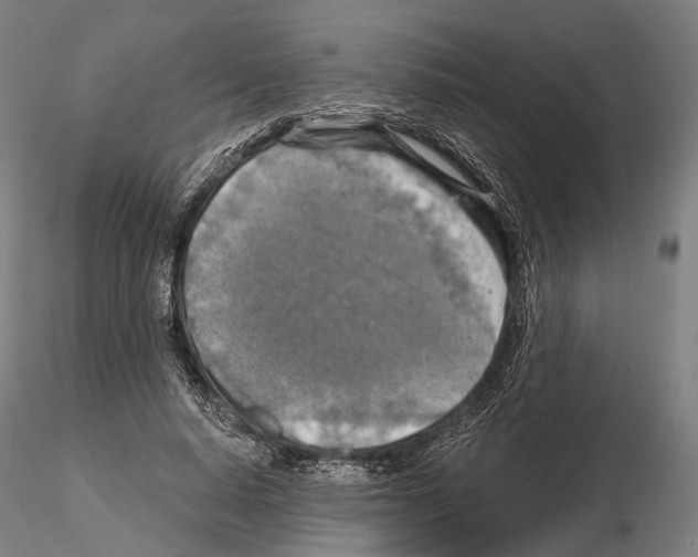 X0000114650640200912011113