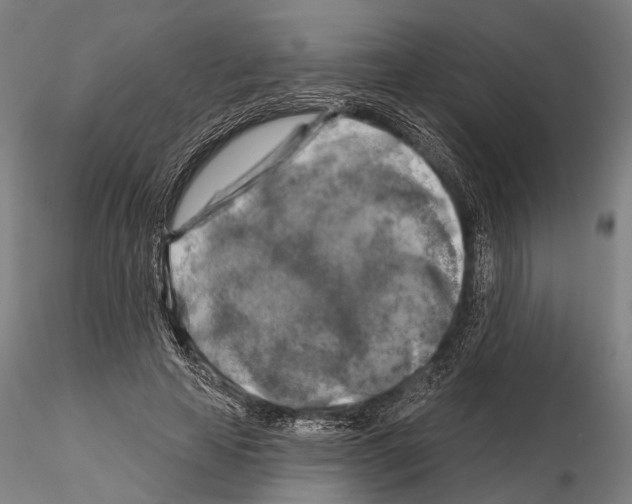 X0000114650641200912011113