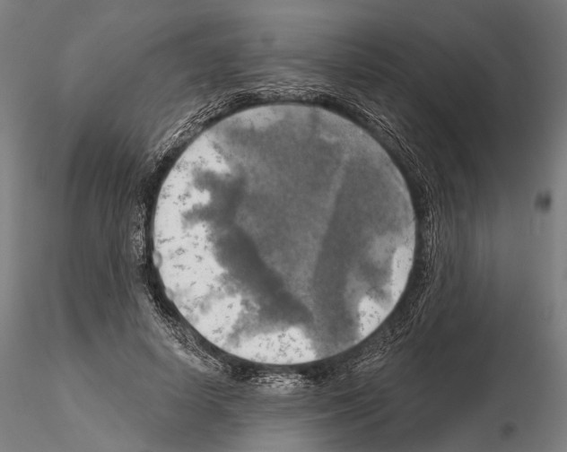 X0000114650642200912011113