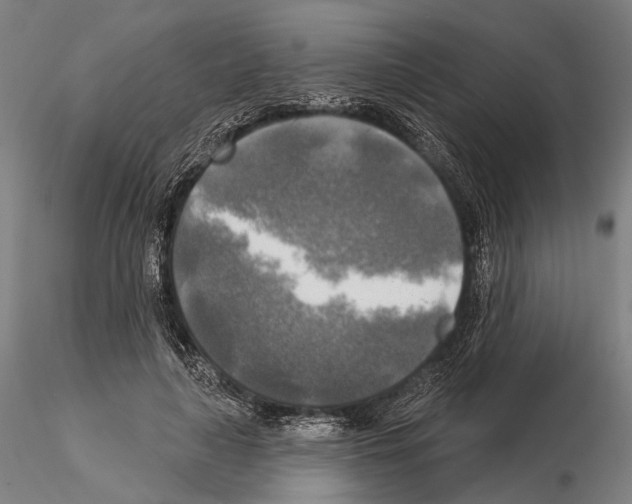 X0000114650643200912011113