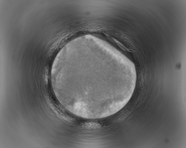 X0000114650644200912011113