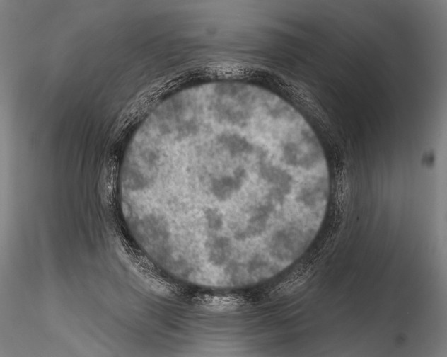 X0000114650645200912011113