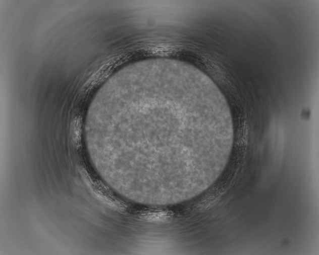 X0000114650646200912011113