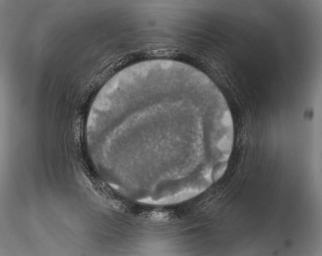 X0000114650647200912011113