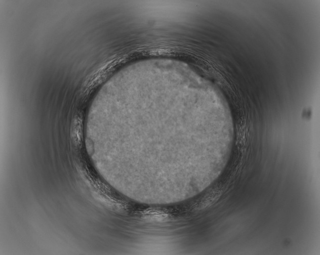 X0000114650648200912011113