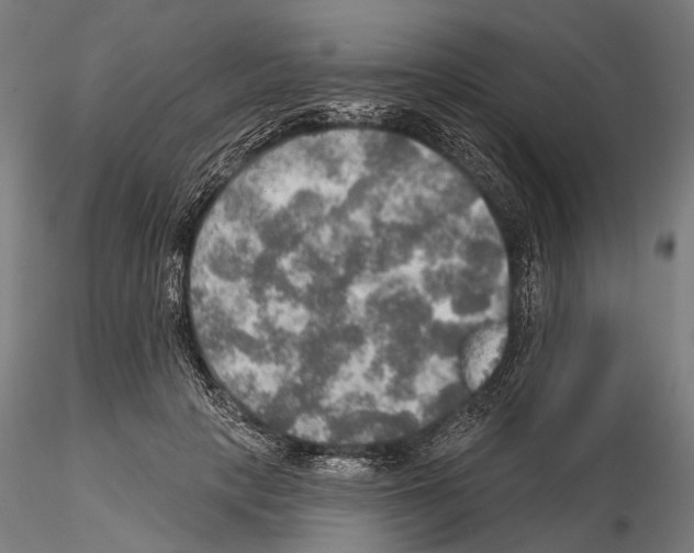 X0000114650649200912011113