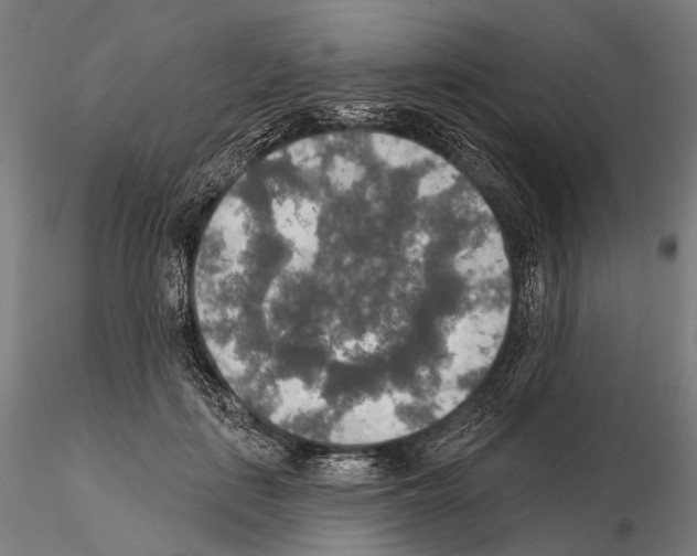 X0000114650651200912011113