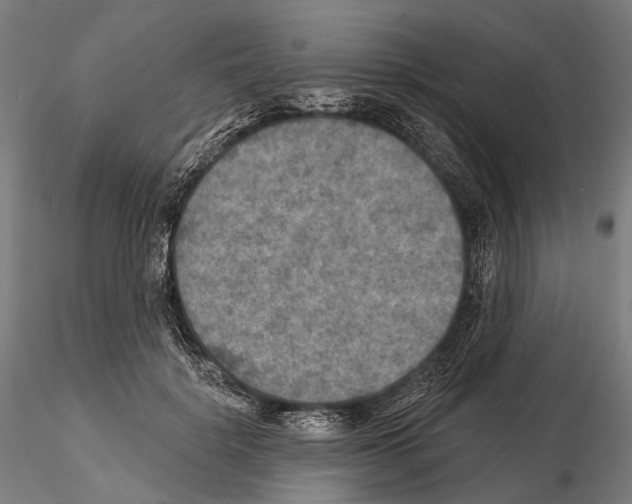 X0000114650652200912011113