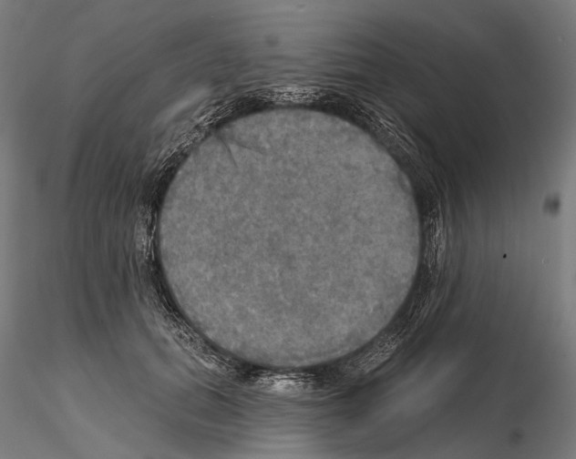 X0000114650655200912011113