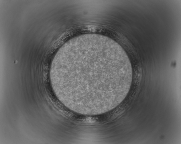 X0000114650656200912011113