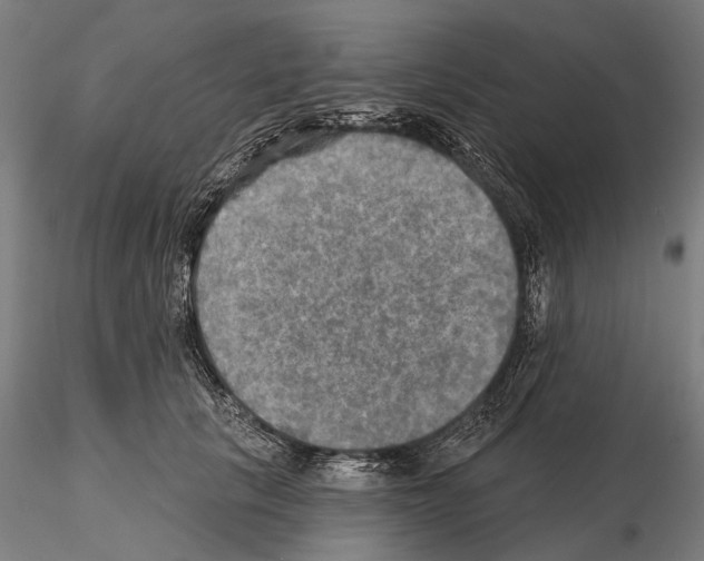 X0000114650657200912011113